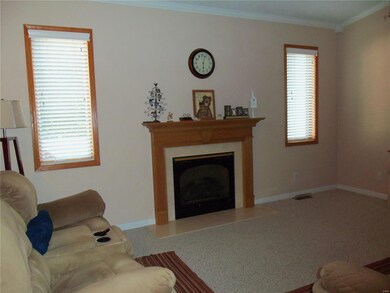 Gas fireplace in great room.