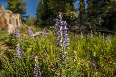 TBD Doolittle Drive Lot #31, Big Sky, MT 59716 - photo 5