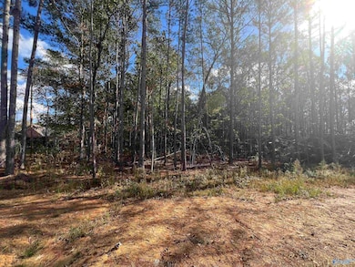 2050 Heritage Ln SW, Hartselle, AL 35640 - photo 5