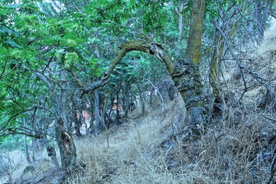 Land 1