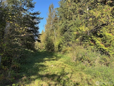 2046 Burk Rd, Blaine, WA 98230 - photo 5