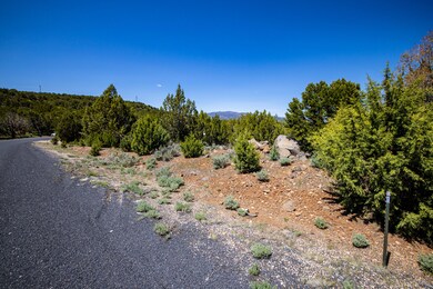 SW edge adjacent to juniper