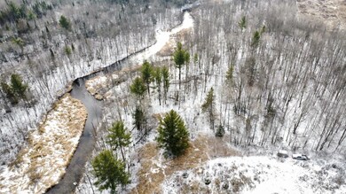 ON Cth C unit 7.87 Acres, Antigo, WI 54409 - photo 2