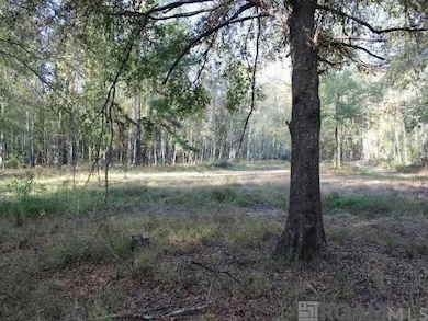 28545 Coker Vail Rd N, Holden, LA 70744 - photo 2