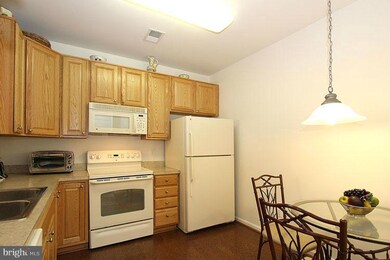 6155 Shadywood Rd unit 408, Elkridge, MD 21075 - photo 4