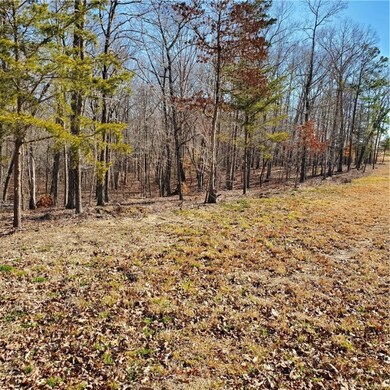 Lot A Lecroy Rd, Walhalla, SC 29691 - photo 2