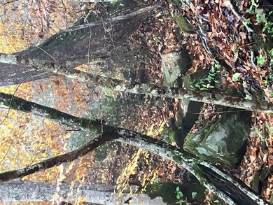 00 Hunter Branch Rd, Garrett, KY 41630 - photo 5