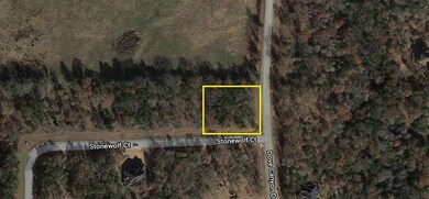 Lt 105R Stonewolf Ct, Gordonville, TX 76245 - photo 3