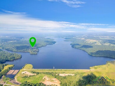 Lot 42 Katie Ln unit Katie Lane, Gilmer, TX 75644 - photo 6