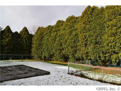 Yard/Garden