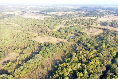 0 Cr 3451 unit 14457765, Paradise, TX 76073 - photo 5