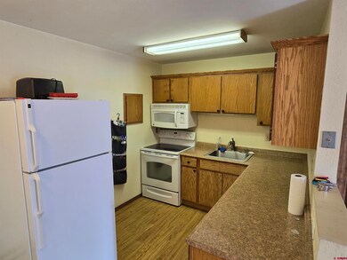 455 Sheol St unit 114/116, Durango, CO 81301 - photo 7