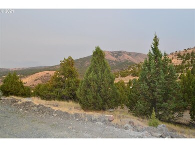 0 Elk View Dr, Canyon City, OR 97820 - photo 7