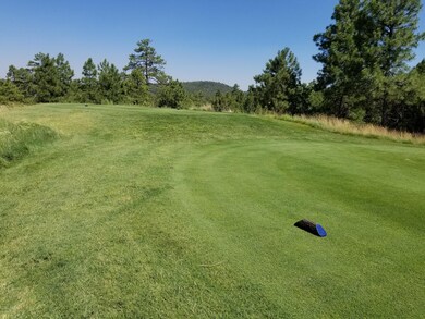 Tee Box