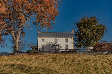 IMG_4233