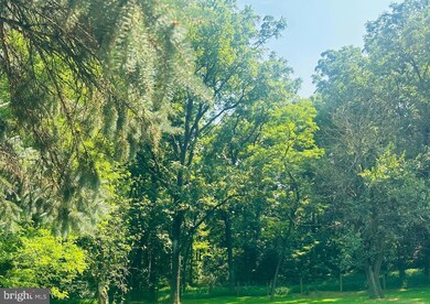 0 Foxianna Rd, Middletown, PA 17057 - photo 2