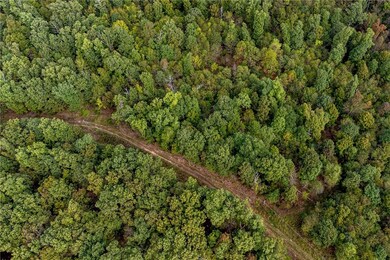 0 Mount T Bo Ln unit 1199064, Elkins, AR 72727 - photo 4