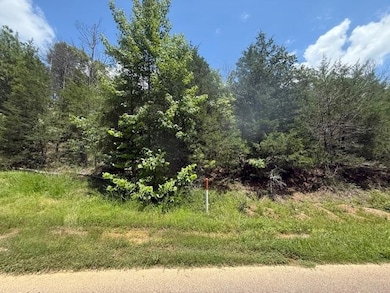 TRACT 6 Cherry Chapel Loop, Savannah, TN 38372 - photo 7