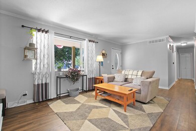 Hackberry 501 (12)