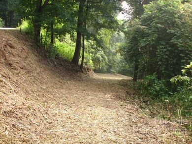 Drive way to cleared lot