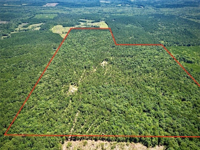 000 William Colvin Rd, Bernice, LA 71222 - photo 3