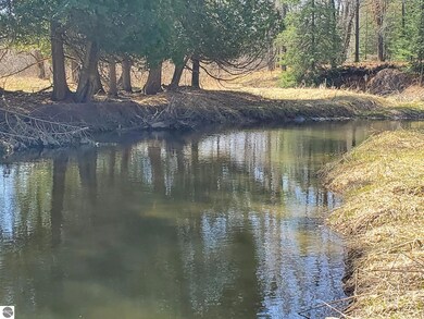 333 W Pine Log Trail, West Branch, MI 48661 - photo 7