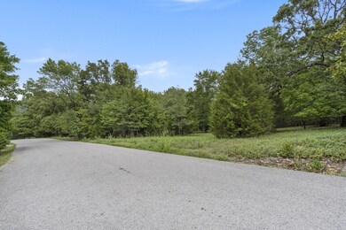 Lots 27&28 Wildflower, Kimberling City, MO 65686 - photo 3