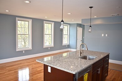 42 Olney St unit 3R, Dorchester, MA 02121 - photo 5