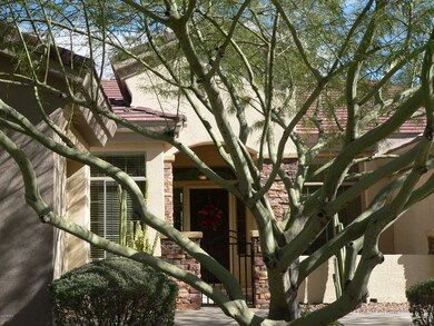 Palo verde tree