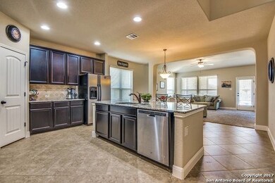 3802 Ox-Eye Daisy, San Antonio, TX 78261 - photo 7