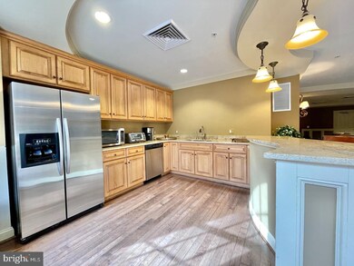 1781 Chain Bridge Rd unit 202, McLean, VA 22102 - photo 5