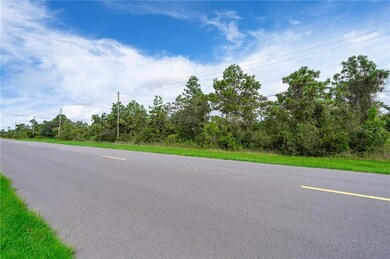 0 Meredith Pkwy unit O5893031, Orlando, FL 32833 - photo 2