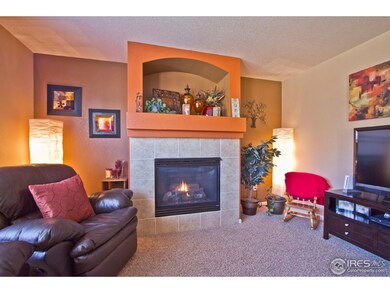 Gas Fireplace