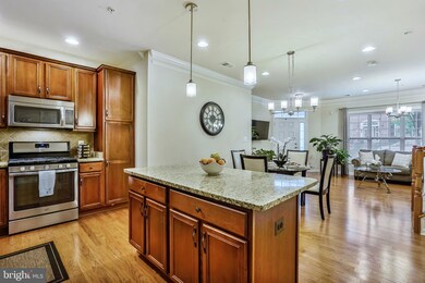 43087 Thoroughfare Gap Terrace, Ashburn, VA 20148 - photo 3