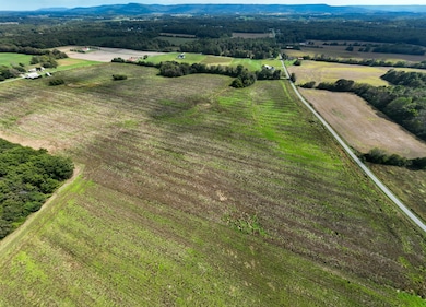 1 Clarence Finney Rd, Hillsboro, TN 37342 - photo 4