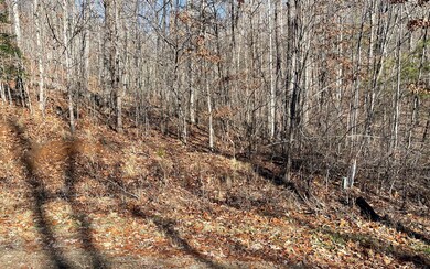 Additional View