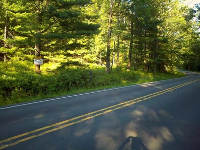 1253 Pennsylvania 590, Lackawaxen, PA 18435 - photo 5