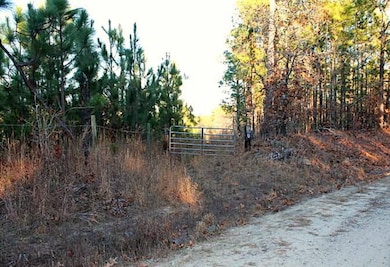 TBD O G Reynolds Rd, Ellerbe, NC 28338 - photo 3