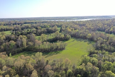 0 Tbd Engelberg Rd unit LotWP001, Pocahontas, AR 72455 - photo 4