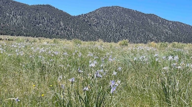 0 Benton Crossing Rd unit 5 250573, Benton, CA 93512 - photo 5