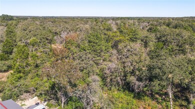 TBD Cedar Dr, Cade Lakes, TX 77836 - photo 6