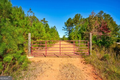 0 Bridges Rd, Carlton, GA 30627 - photo 3