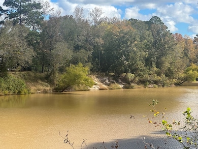 TBD Sam Rayburn Pkwy, Jasper, TX 75951 - photo 2