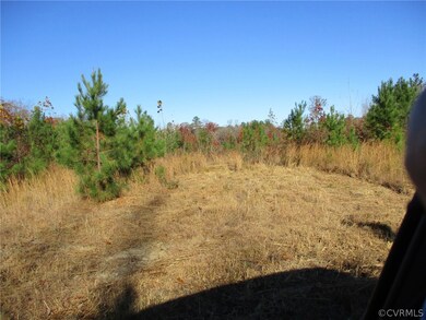 1950 Manakintown Ferry Rd, Midlothian, VA 23113 - photo 4