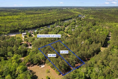 Aerial view featuring a view of trees