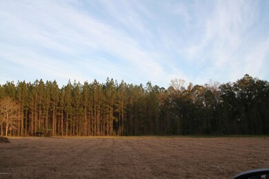 0 Sawtooth Ridge unit 810006, Callahan, FL 32011 - photo 7