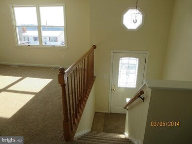 163 Little Sorrel Dr, Strasburg, VA 22657 - photo 4