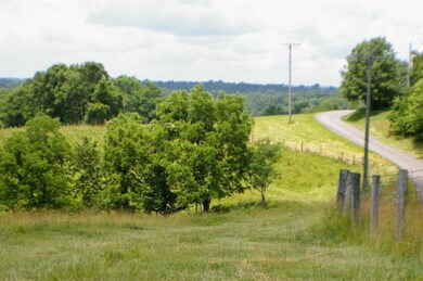 1 Alhambra Rd unit 3, Mount Olivet, KY 41064 - photo 6