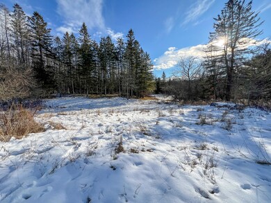 947 Main St, Springfield, ME 04487 - photo 5