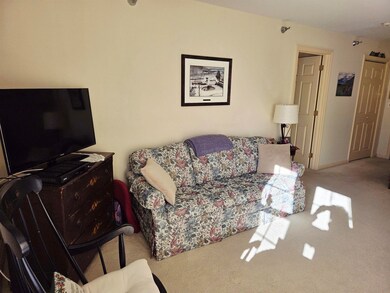 332 Parkside Rd unit 17, New London, NH 03257 - photo 6